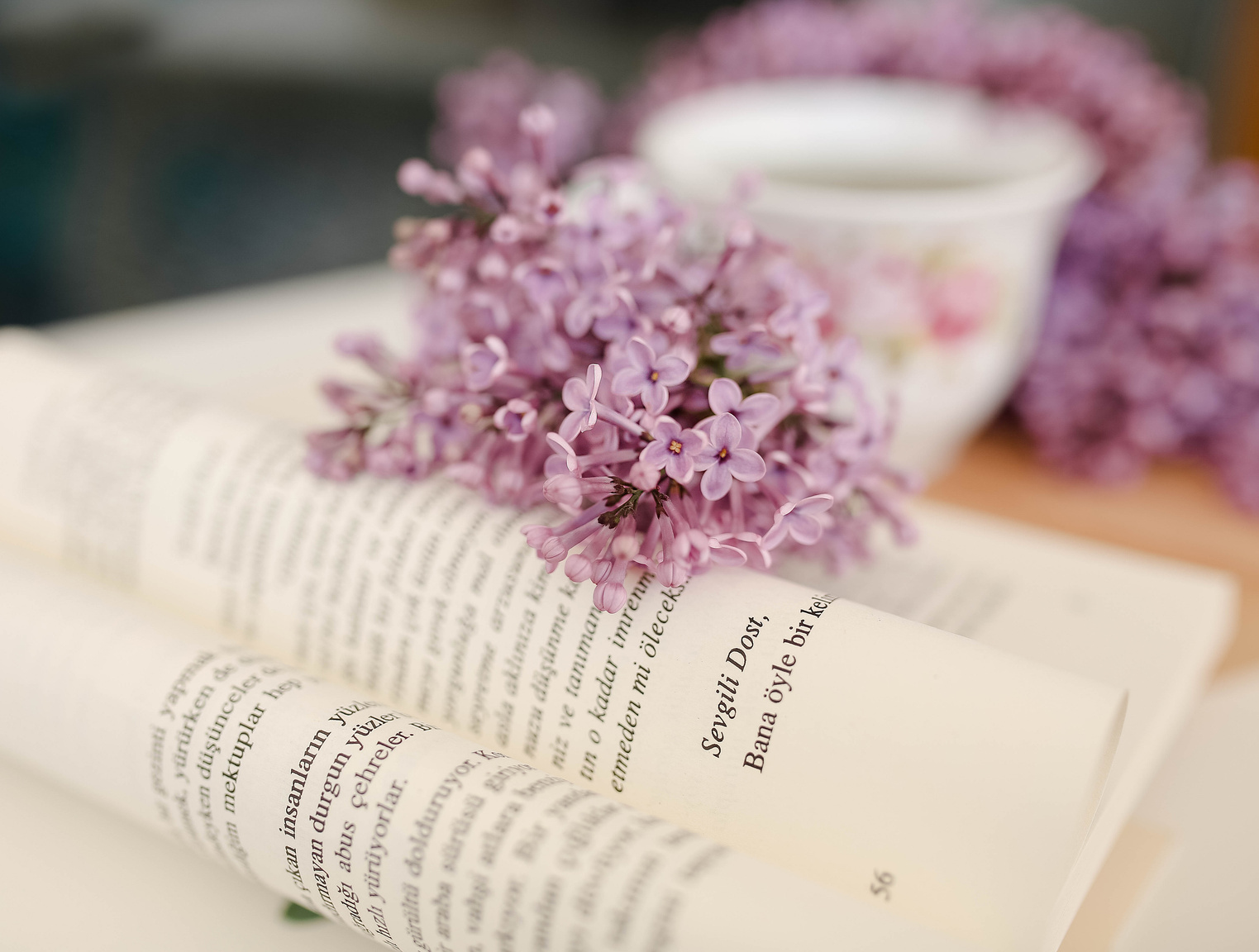 Pink Flowers on Book Page